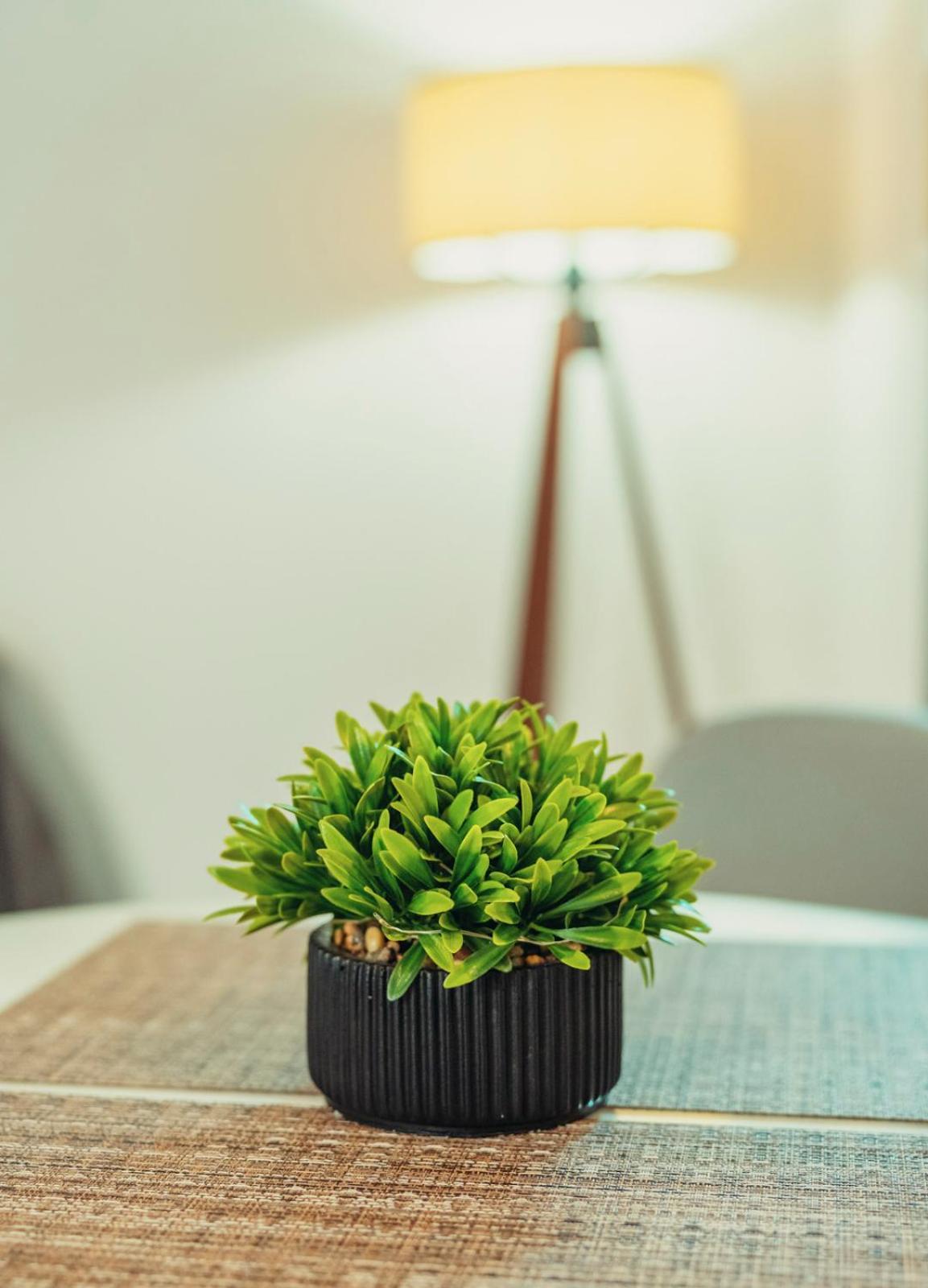 Crystal Cherry Apartment 普雷韦扎 外观 照片